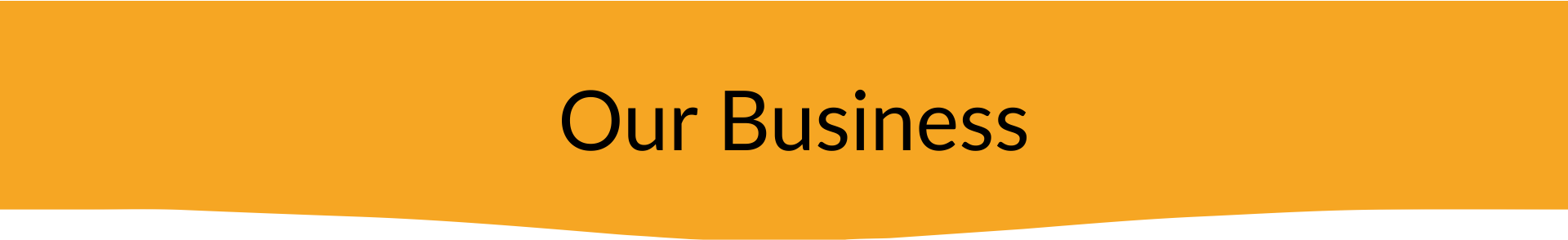 our-business.png